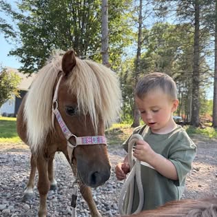 A child learns to lead a miniature pony at Full Circle Equestrian Connection