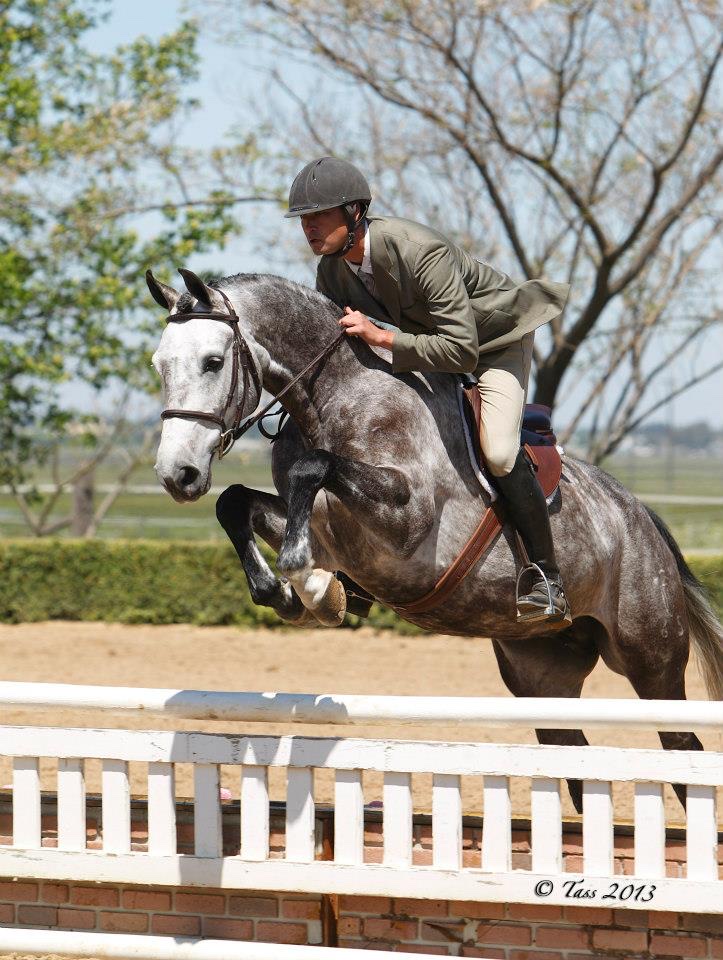 A grey horse and rider clearing a white oxer in a show ring