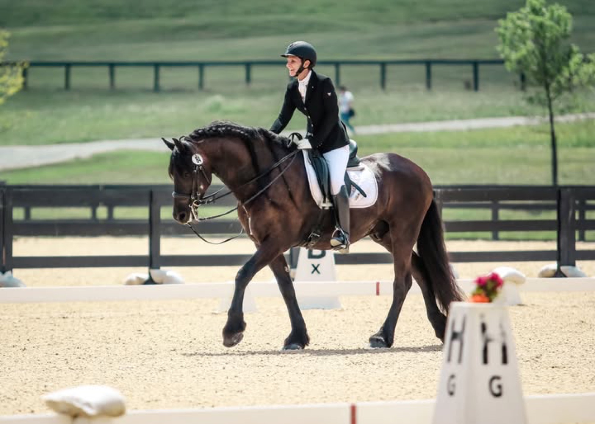 A dark horse and rider working in a dressage arena