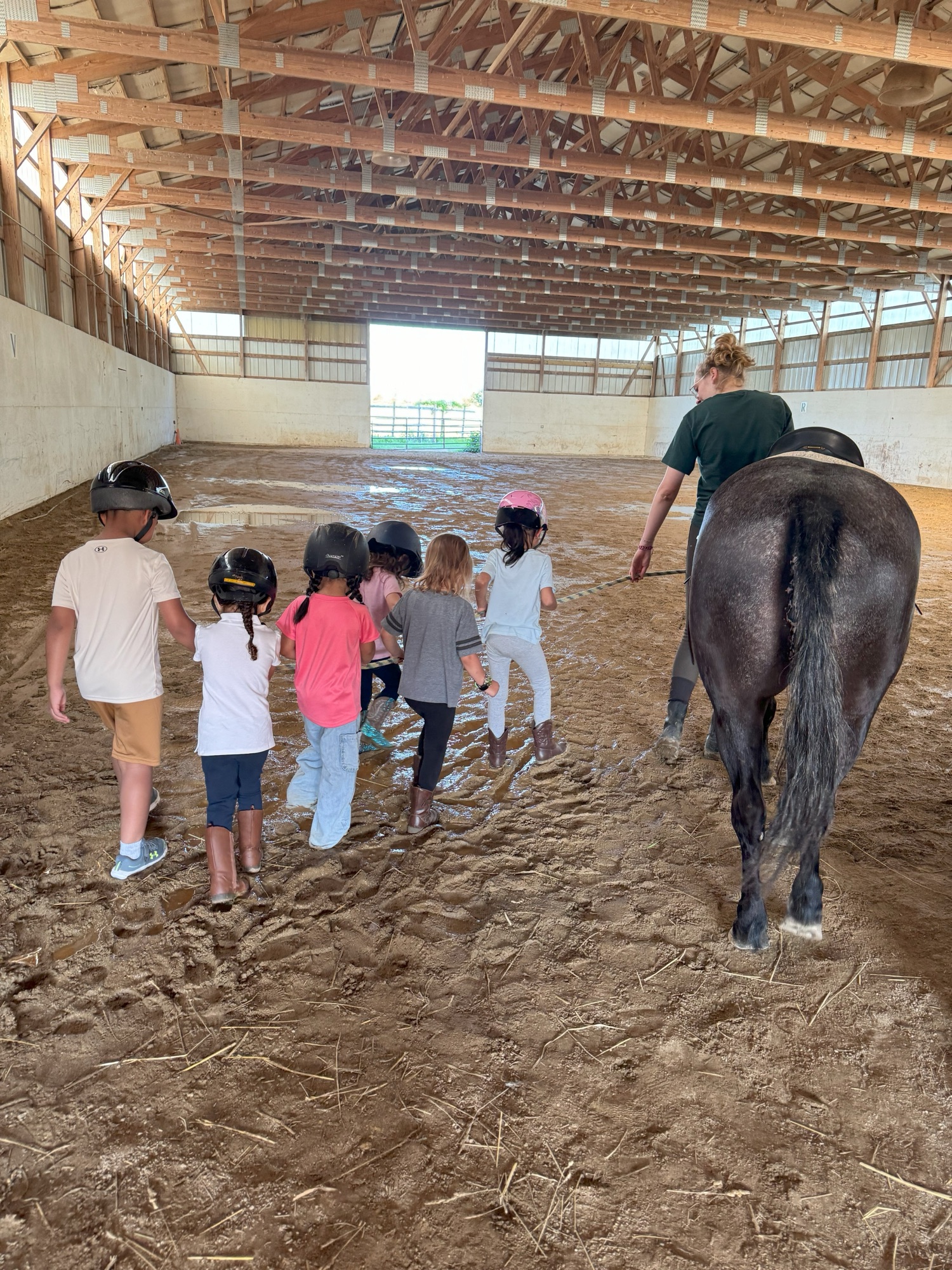 A group of children walking behind a horse in the indoor school